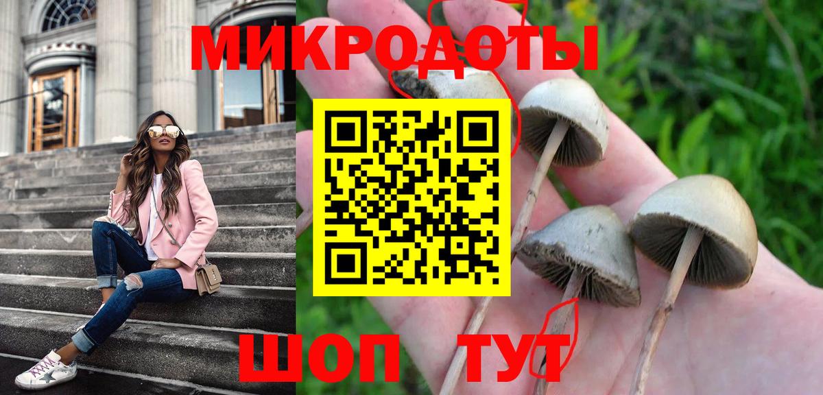Галлюциногенные грибы Psilocybe Шадринск
