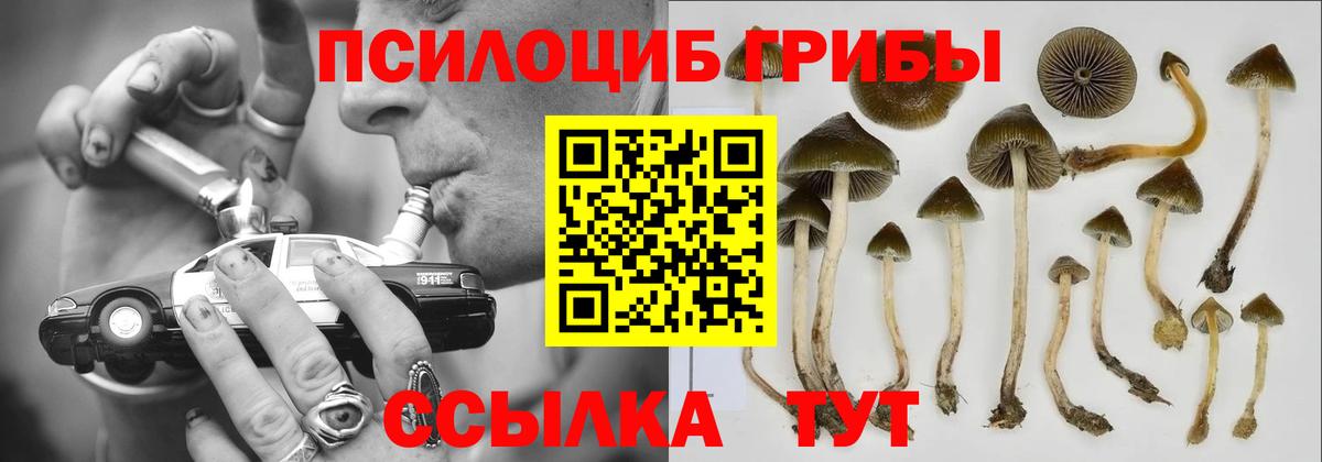 Шадринск  Галлюциногенные грибы ЛСД  Вход с VPN 